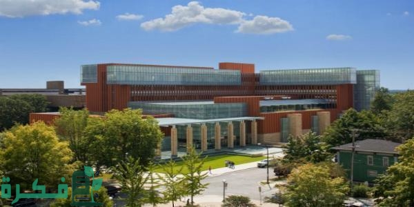 أفضل الكليات الأمريكية في التخصصات الماليةر