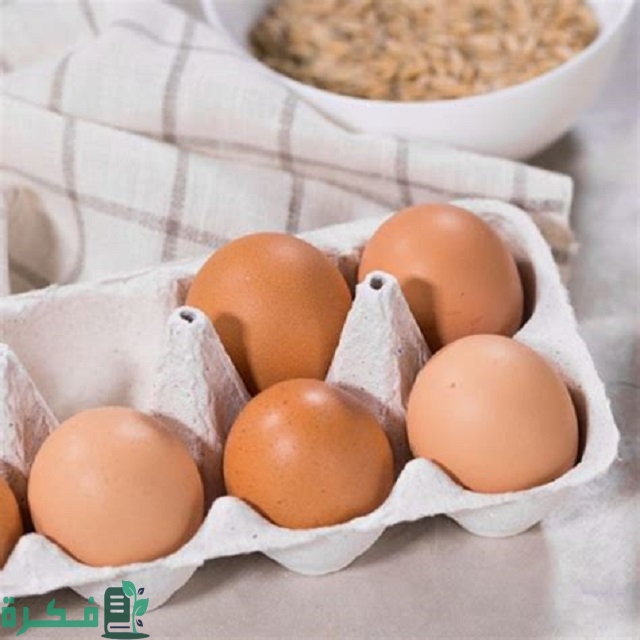 أنواع بديل البيض في الكيك