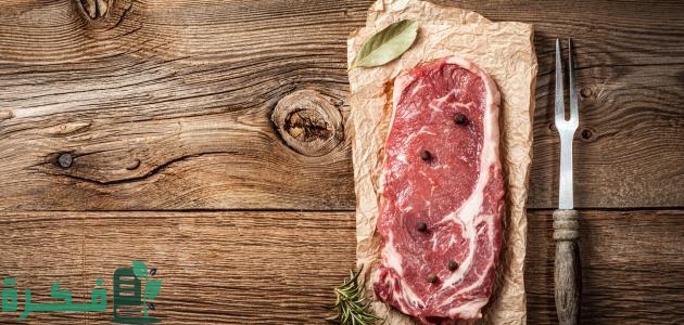 ما هو لحم الإبل؟