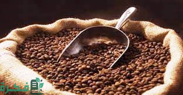 الفوائد الصحية للقهوة
