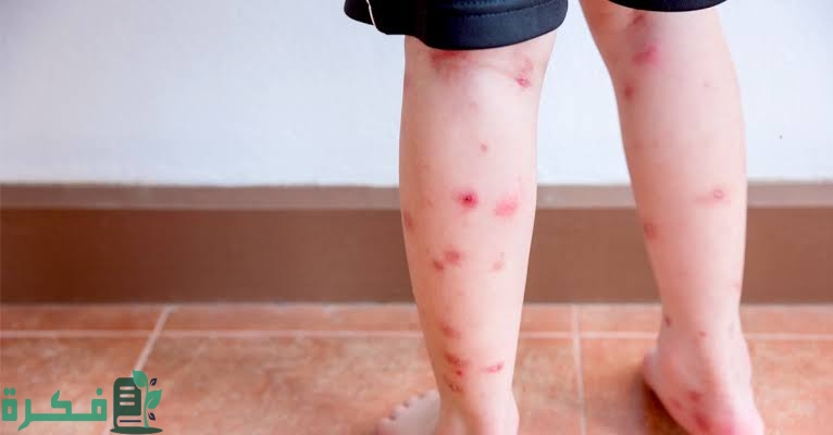 images 2023 05 12T183639.192