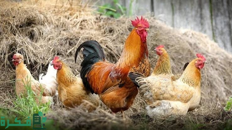 images 2023 05 15T105224.421