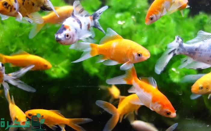 images 2023 05 17T095728.922