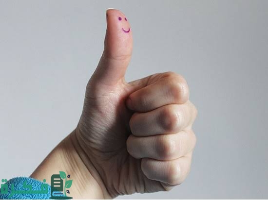 images 2023 05 19T193946.498