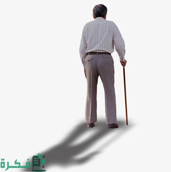 images 2023 05 21T101353.298