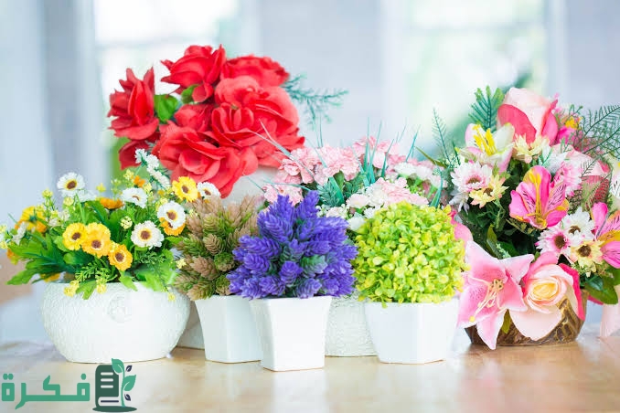 images 2023 05 21T212238.840