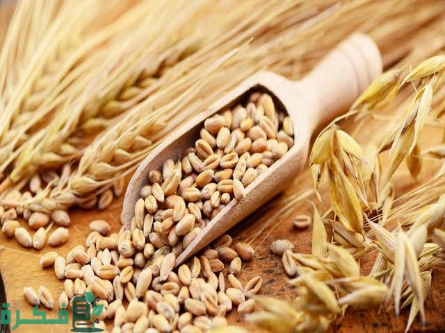 images 2023 05 25T173938.214