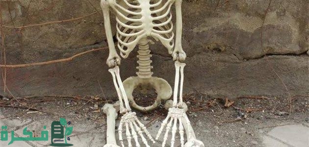 تفسير حلم رؤية عظام الميت في المنام 1 images 98
