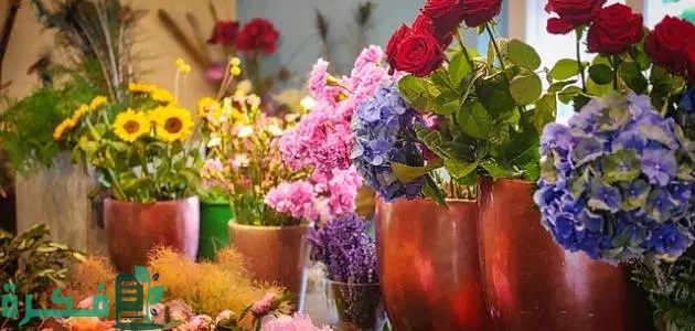 أسماء محلات ورد في تركيا.. 50+ أسم جميل بالتركي 2 أسماء محلات ورد في تركيا