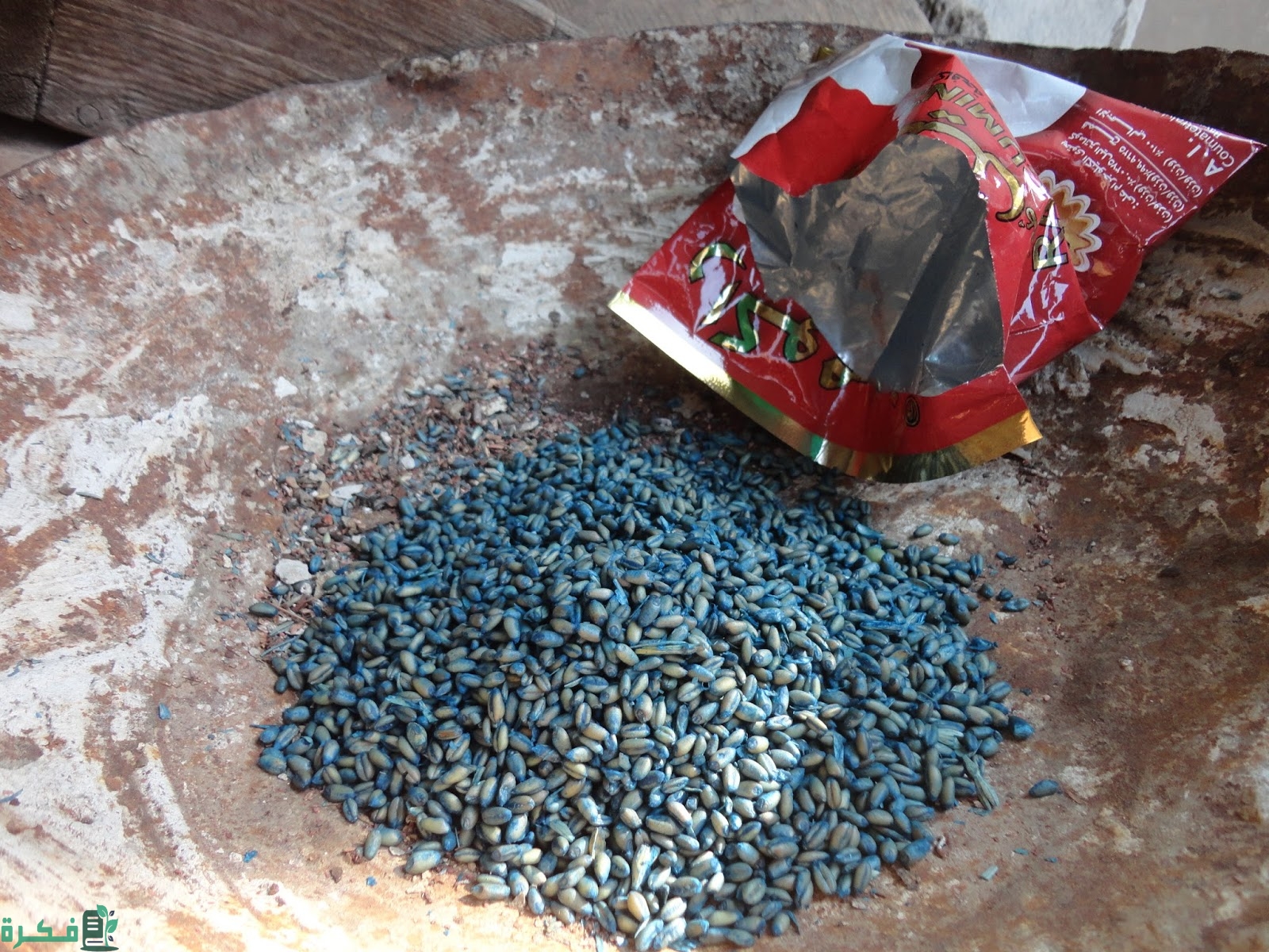 أفضل انواع سم الفئران