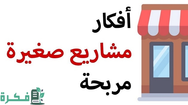 أفكار مشروع أرباحه خيالية