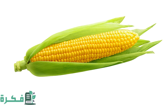 اسم أكلة بحرف الذال