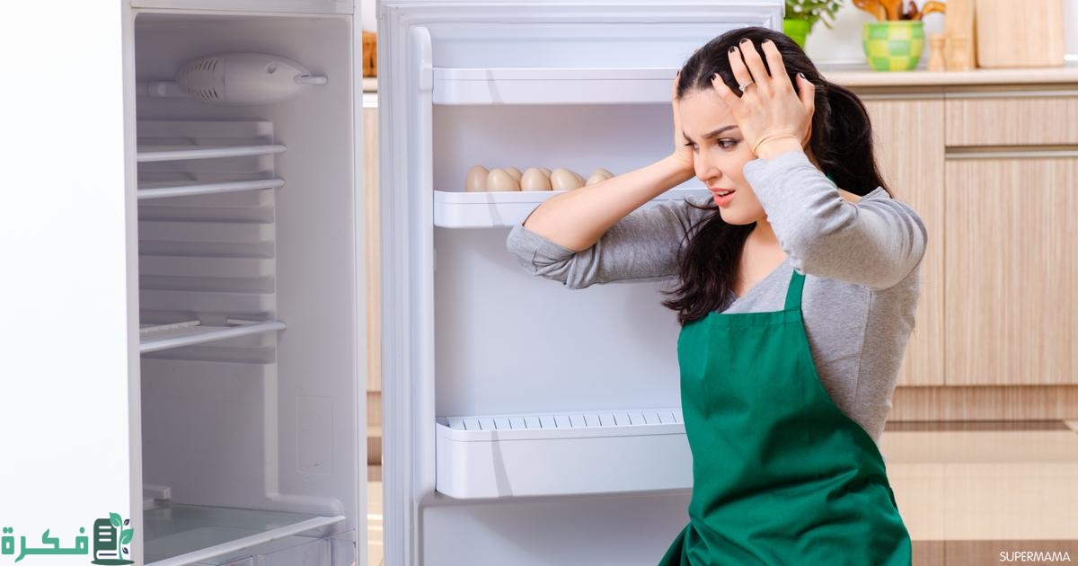 الثلاجة لا تبرد والفريزر لا يجمد