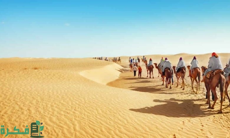 العويس وش يرجعون