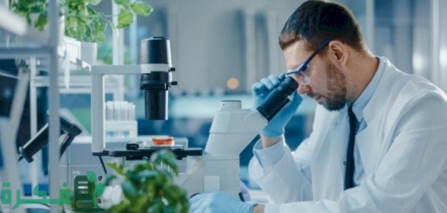 تجربتي مع تخصص الأحياء وهل له مستقبل 5 تجربتي مع تخصص الأحياء