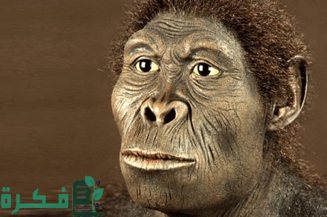 من هم سكان الارض قبل البشر