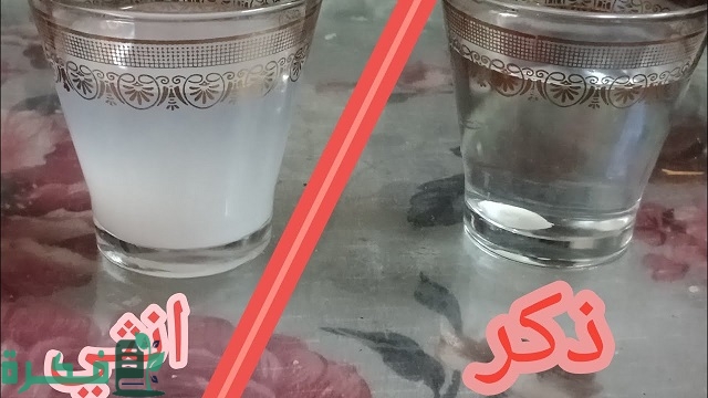 تجربة الحليب لمعرفة نوع الجنين بالصور
