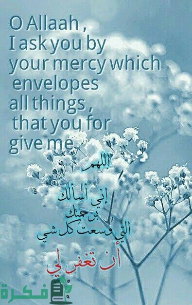 images 2023 06 11T233117.913 1