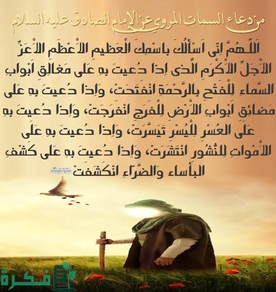 images 2023 06 12T231343.519