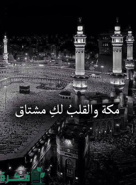 images 2023 06 13T003613.166