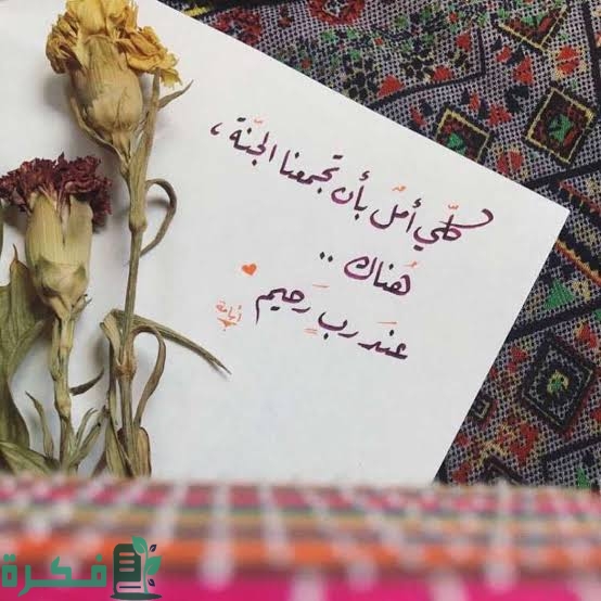 images 2023 06 13T234140.452