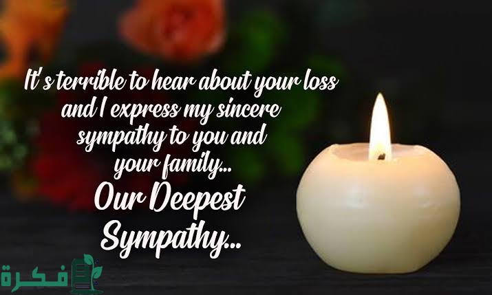 images 2023 06 17T234355.316