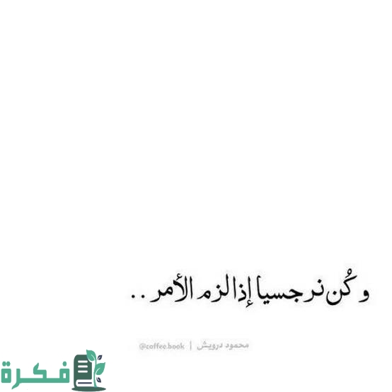 images 2023 06 20T000244.556