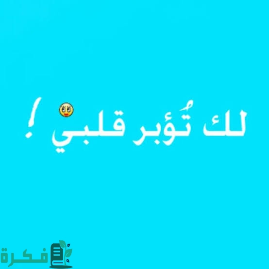 ما هو الرد على كلمة تؤبرني 2 images 2023 06 22T004941.750