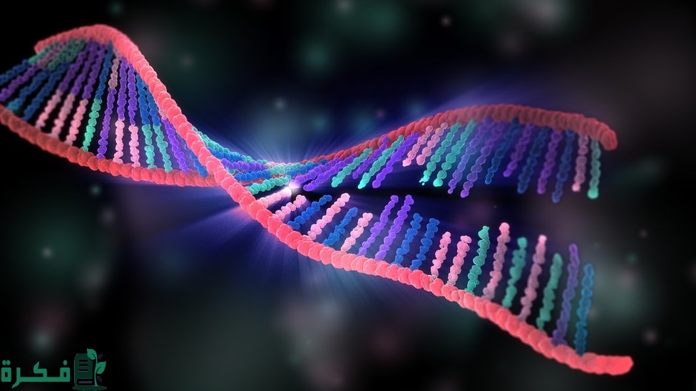 أي مما يلي يمثل تزاوجًا ينتج نباتات جميعها طويلة 4 أي مما يلي يمثل تزاوجًا ينتج نباتات جميعها طويلة