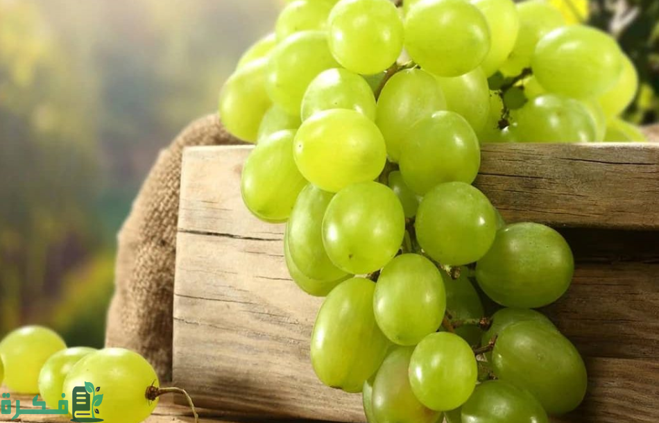 حل لغز أكله حرام وشربه حلال الجواب 3 حل لغز أكله حرام وشربه حلال الجواب