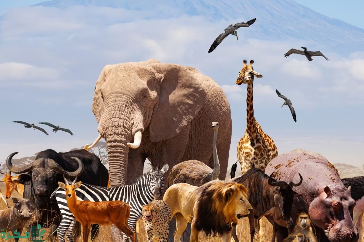 حل لغز حيوان لا يستطيع إخراج لسانه من فمه