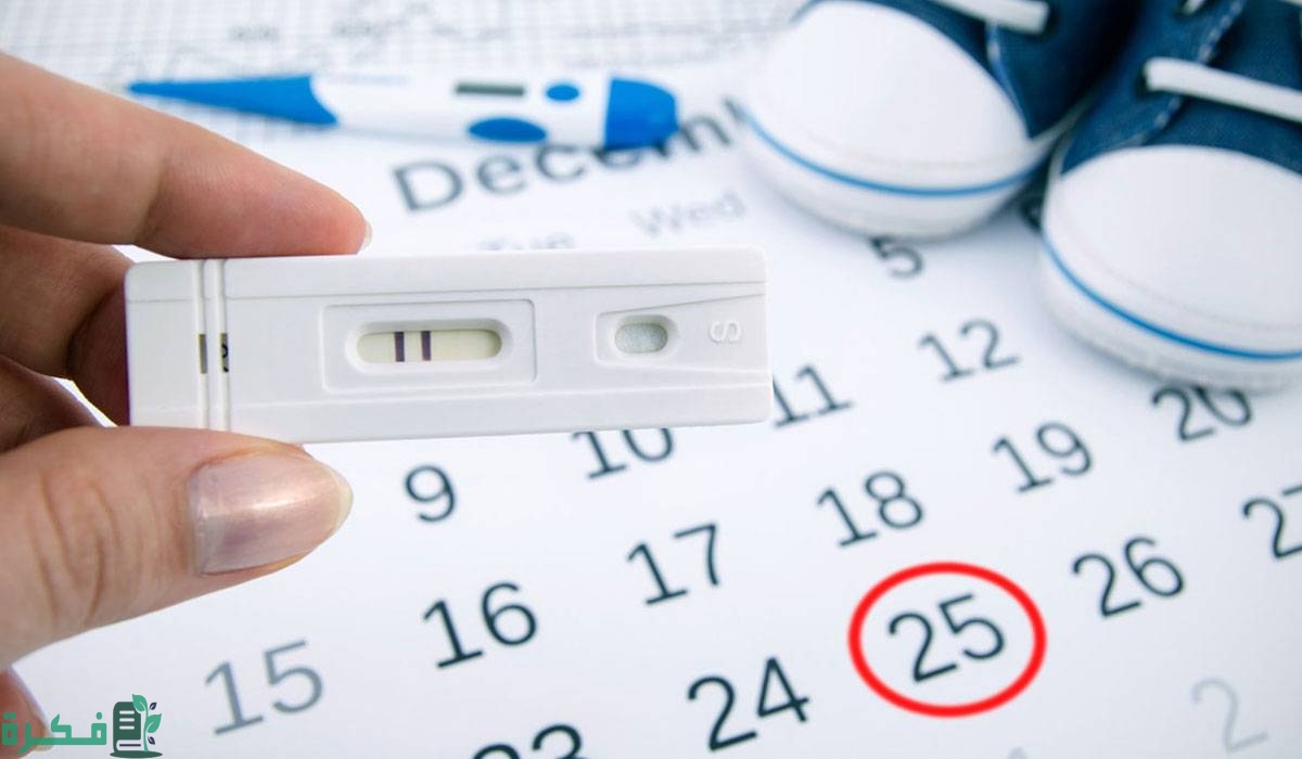 طريقة الحمل بعد الدورة مباشرة