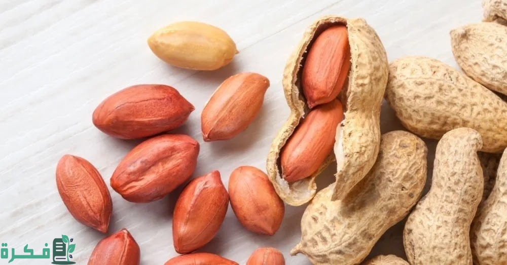 كم نسبة البروتين في الفول السوداني