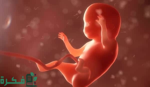 كيف اشعر بنبض الجنين في الشهر الثالث