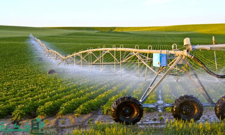 ما هو سبب تنوع المحاصيل الزراعية في الدولة الإسلامية