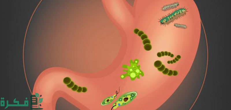 متى تختفي أعراض جرثومة المعدة النفسية