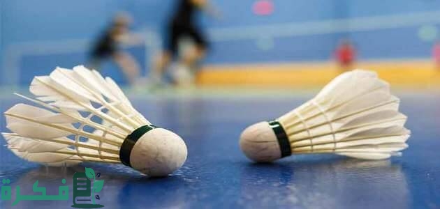 مواصفات ملعب الريشة الطائرة