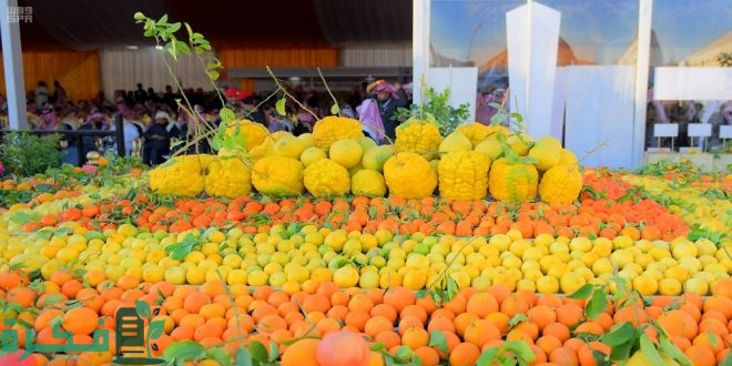 موعد مهرجان الحمضيات الحريق 2026 4 موعد مهرجان الحمضيات الحريق