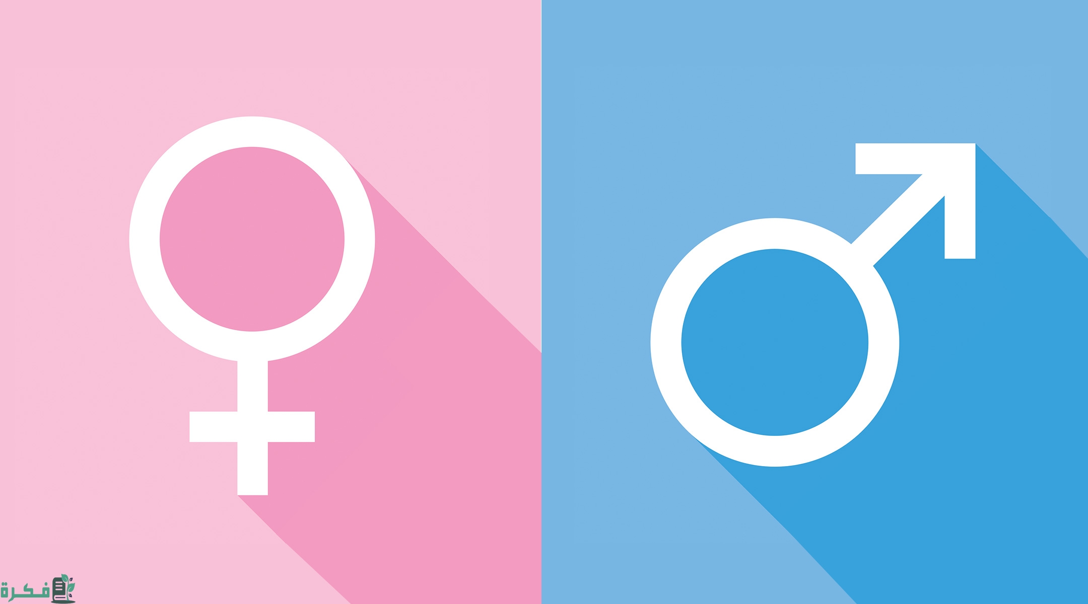 هل الجدول الصيني يتغير كل سنة