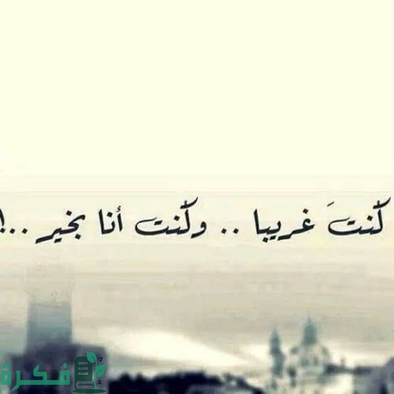 images 2023 07 09T013446.934