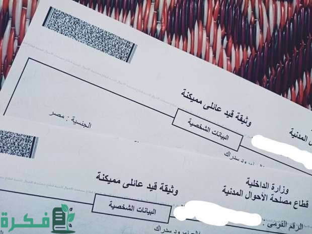 images 2023 07 12T011419.171