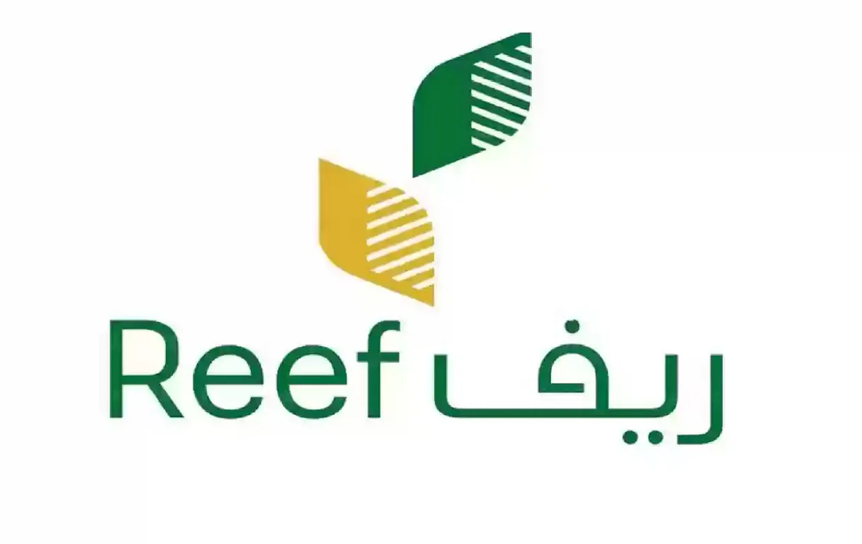 كم مدة قبول ريف؟ وكيف أعرف أنه تم قبولي في ريف