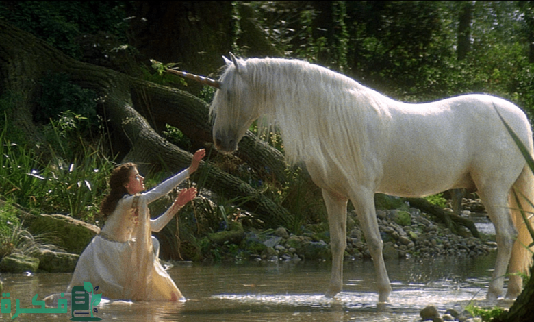 ما تفسير حلم رؤية السقوط من الحصان 2 ما تفسير حلم السقوط من الحصان