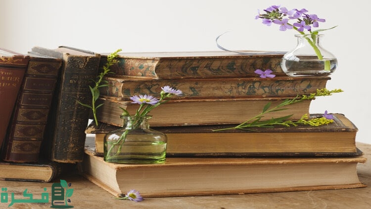 ما جمع امرأة في اللغة العربية 1