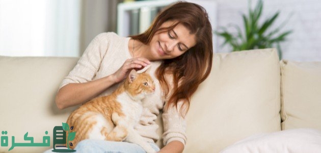 ما دلالة اقتراب القطط منك 1