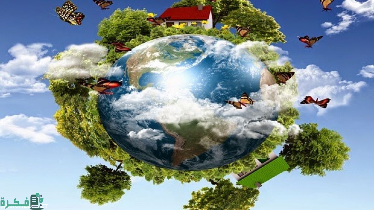 ما هي أكبر مستويات التنظيم الحيوي