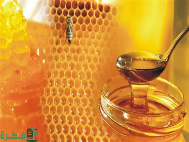 من أين يخرج العسل من جسم النحلة؟
