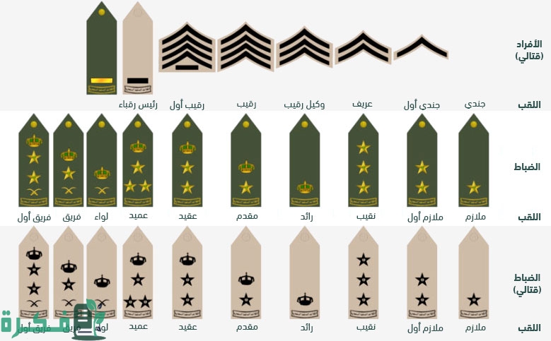 هل الدورات تفيد في الترقية العسكرية؟ كم سنه من رتبة إلى رتبة في نظام خدمة الضباط والأفراد؟