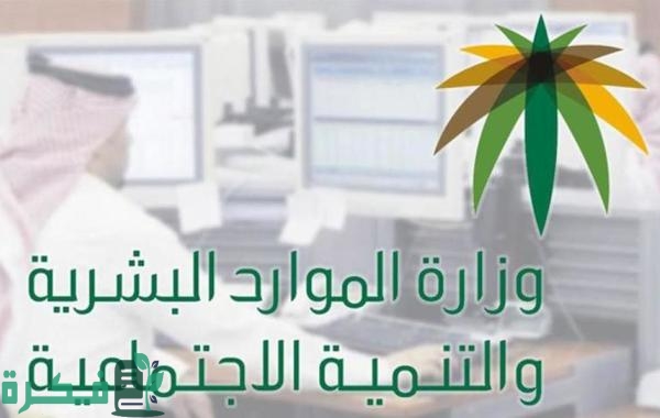 هل يجب اضافة جميع التابعين في الضمان المطور؟