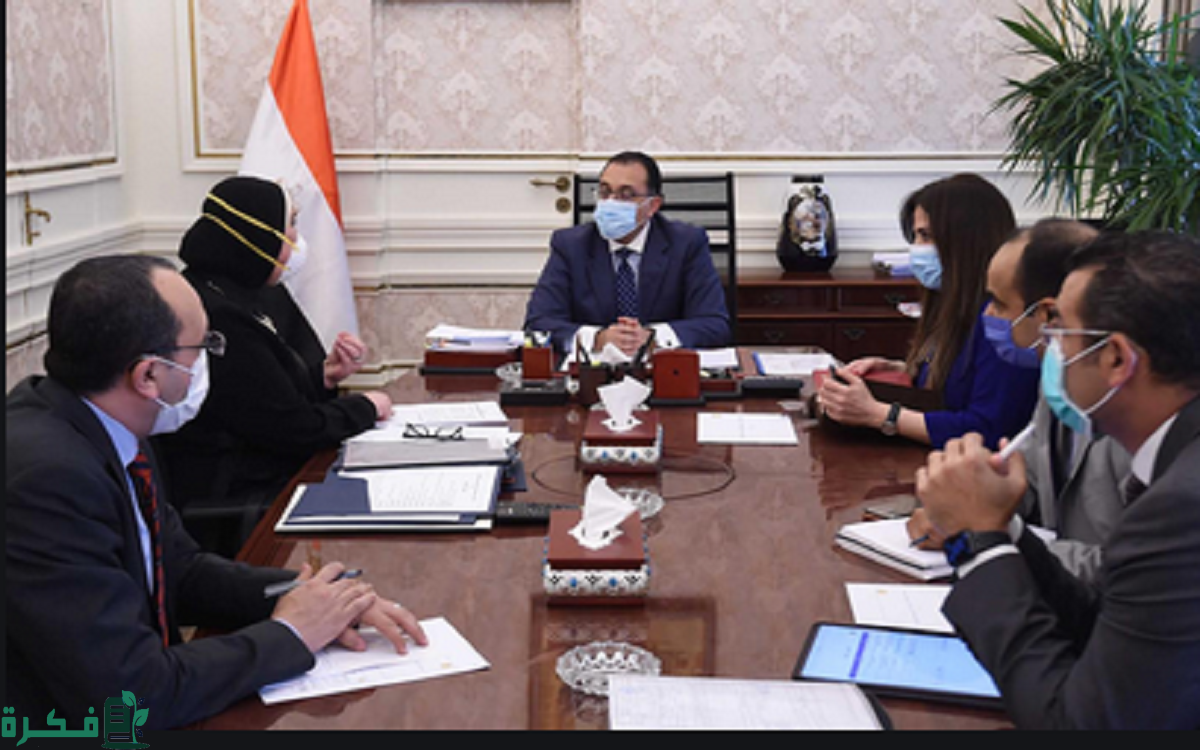 مجلس الوزراء يحدد الجهات المسموح لها العمل "أونلاين" يوم الأحد